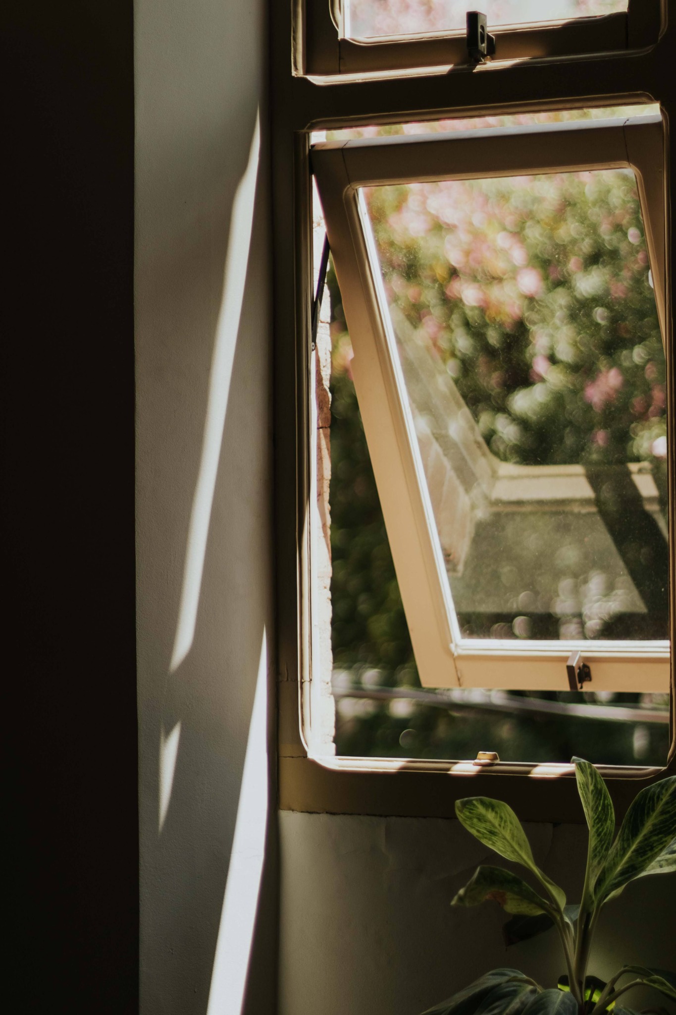 Open window with soft light and greenery