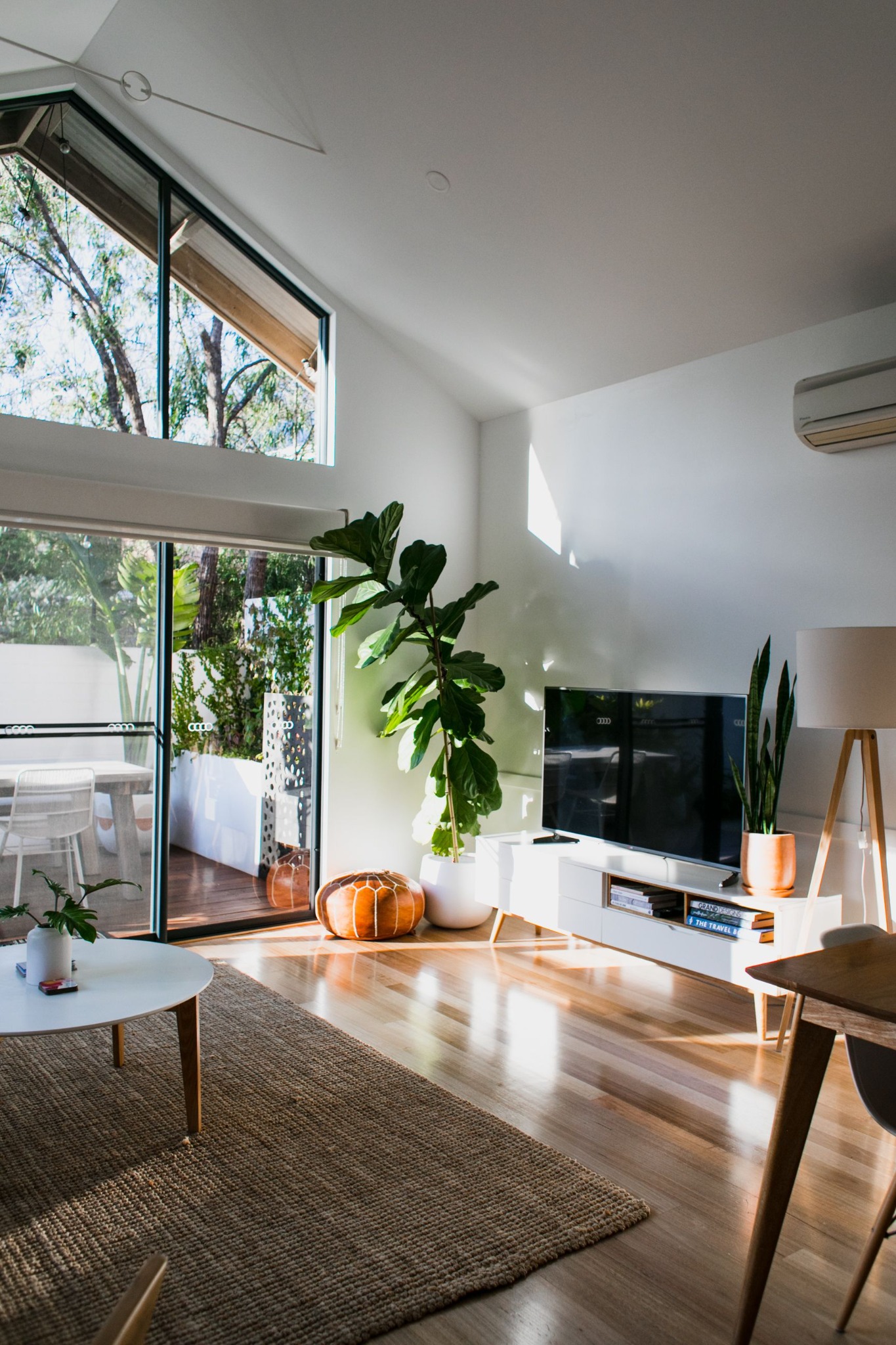 Sunlit Australian home surrounded by native trees